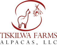 Alpaca Farm in Illinois